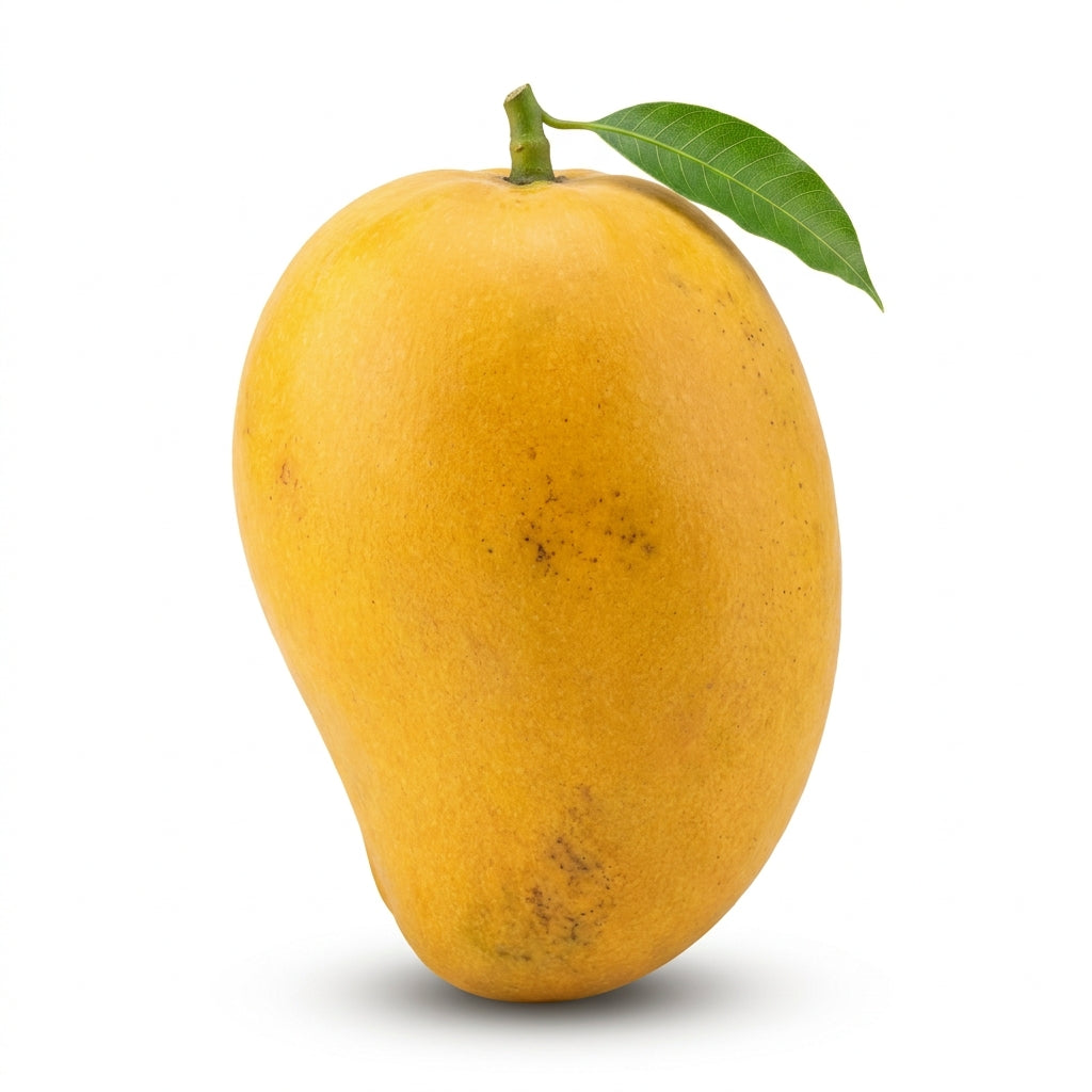 Premium White Chaunsa Mangoes (Garden Fresh)