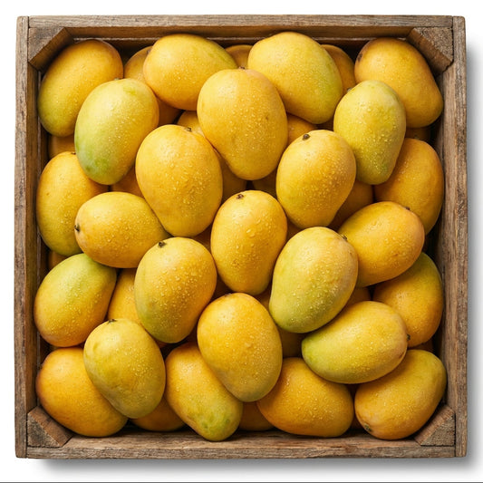 Premium White Chaunsa Mangoes (Garden Fresh)